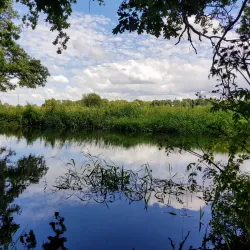 Woking Palace - Woking