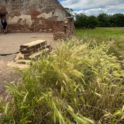 Woking Palace - Woking