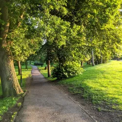 Woking Park - Woking