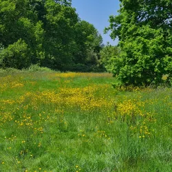 Cantley Park Play Area - Wokingham