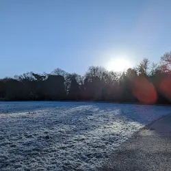 Cantley Park - Wokingham