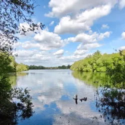 Cantley Park - Wokingham