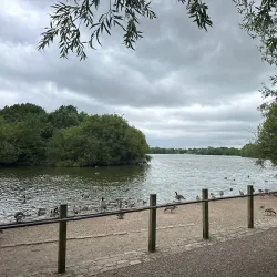 Dinton Pastures Country Park - Wokingham