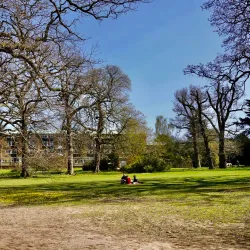 Dinton Pastures Country Park - Wokingham