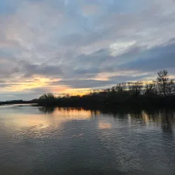 Dinton Pastures Country Park - Wokingham