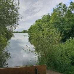 Dinton Pastures Country Park - Wokingham
