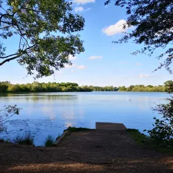 Dinton Pastures Country Park - Wokingham