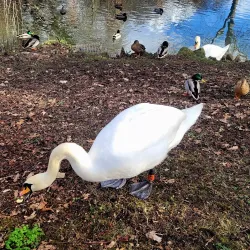 Gheluvelt Park - Worcester