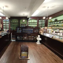 Worcester City Art Gallery & Museum - Worcester