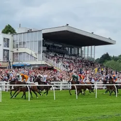 Worcester Racecourse - Worcester