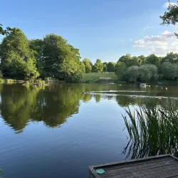 Acton Park - Wrexham