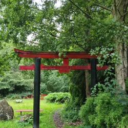 Acton Park - Wrexham