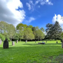 Acton Park - Wrexham