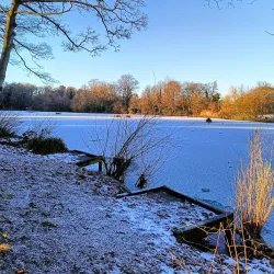 Acton Park - Wrexham