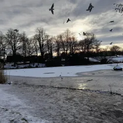 Acton Park - Wrexham