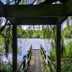 Acton Park - Wrexham