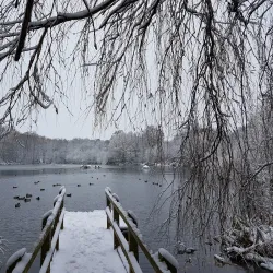 Acton Park - Wrexham