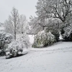 Belle Vue Park - Wrexham