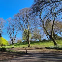 Belle Vue Park - Wrexham