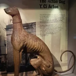 Wrexham County Borough Museum and Archives - Wrexham