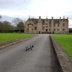 Barrington Court - Yeovil