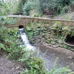 Yeovil Country Park - Yeovil