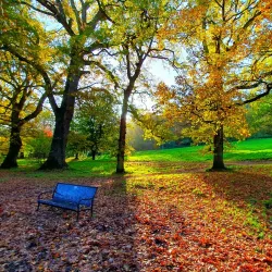 Yeovil Country Park - Yeovil