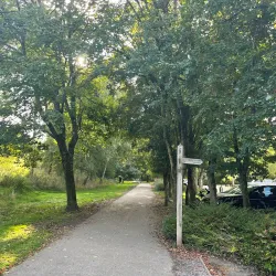 Yeovil Country Park - Yeovil