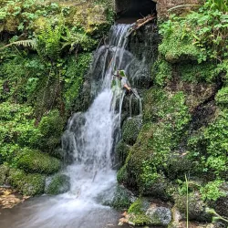 Yeovil Country Park - Yeovil