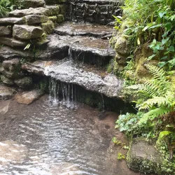 Yeovil Country Park - Yeovil