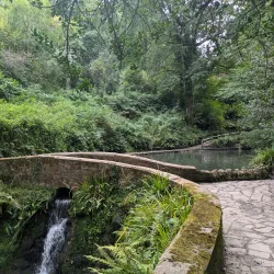 Yeovil Country Park - Yeovil