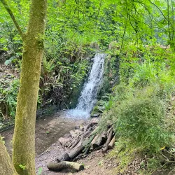 Yeovil Country Park - Yeovil