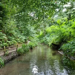 Yeovil Country Park - Yeovil