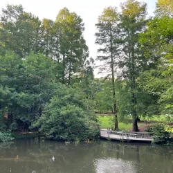 Auburn Botanical Gardens - Auburn