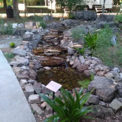 Auburn Botanical Gardens - Auburn