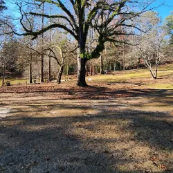 Donald E. Davis Arboretum - Auburn
