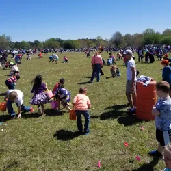 Kiesel Park - Auburn