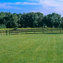 Kiesel Park - Auburn