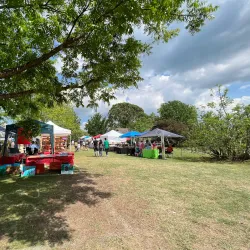 Kiesel Park - Auburn