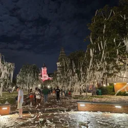 Toomer's Corner - Auburn