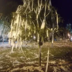 Toomer's Corner - Auburn