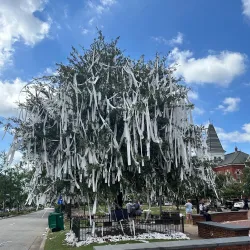 Toomer's Corner - Auburn