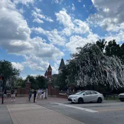 Toomer's Corner - Auburn