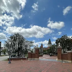 Toomer's Corner - Auburn
