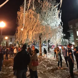 Toomer's Corner - Auburn