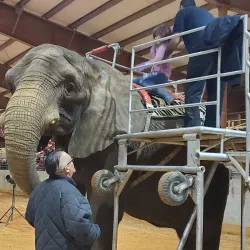Baldwin County Fairgrounds - Bay Minette
