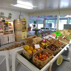 Bay Minette Farmers Market - Bay Minette