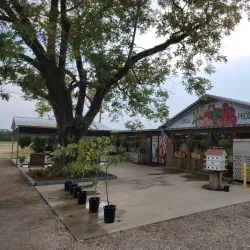 Bay Minette Farmers Market - Bay Minette