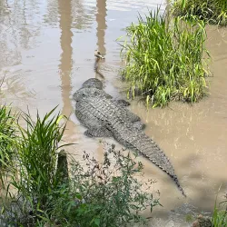 Gator Lake Park - Bay Minette