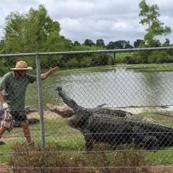 Gator Lake Park - Bay Minette